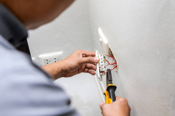 Best Electric Panel Repair  in Anahola, HI